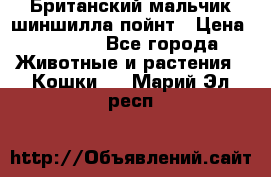 Британский мальчик шиншилла-пойнт › Цена ­ 5 000 - Все города Животные и растения » Кошки   . Марий Эл респ.